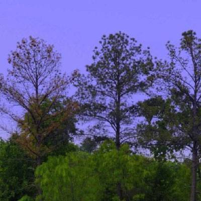 慕尼黑上海电子展热点追踪：跨越...